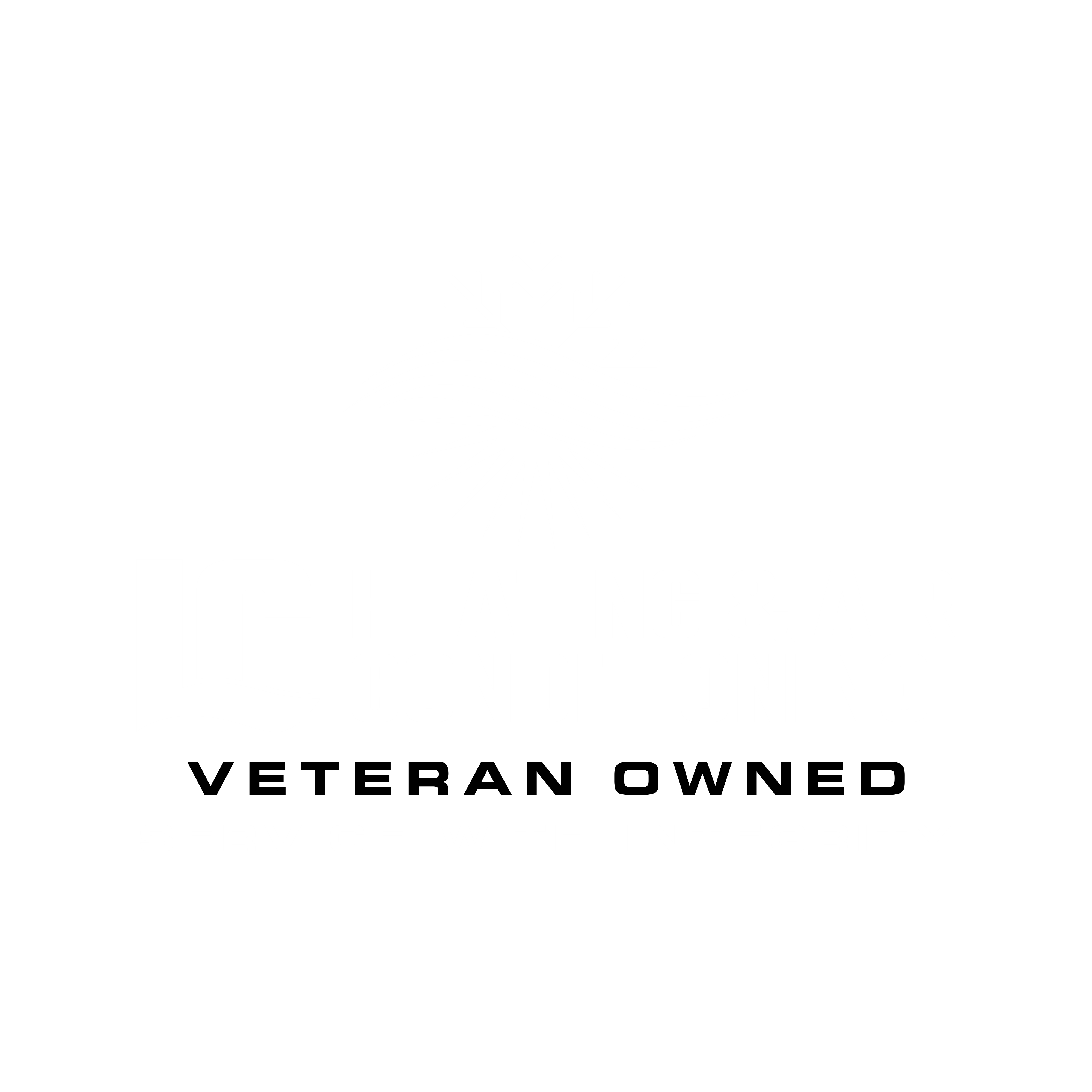 Logo: LG Heating & Air Conditioning